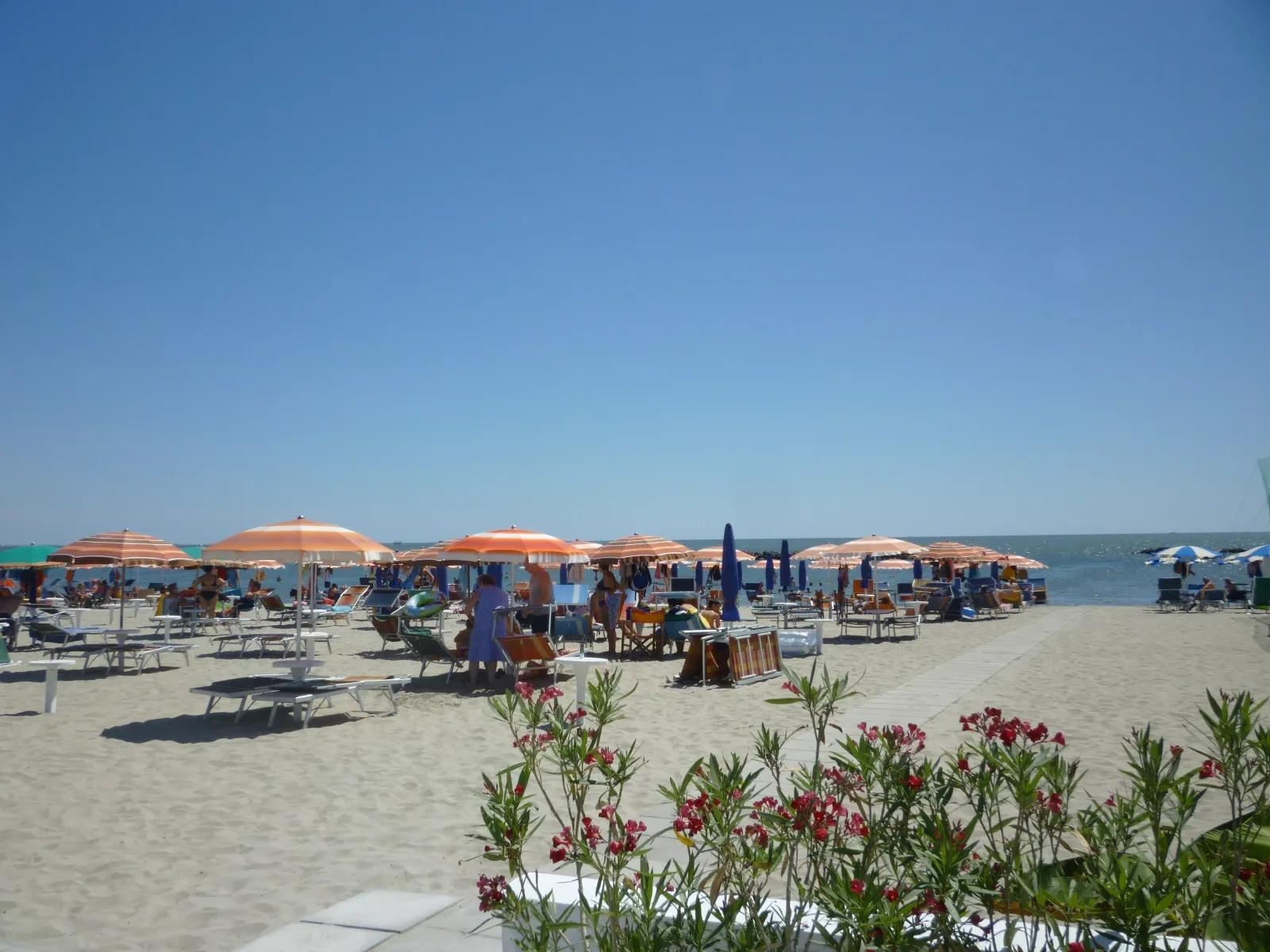 Last Minute ai Lidi Ferraresi: Appartamento Fronte Mare a Lido di Pomposa