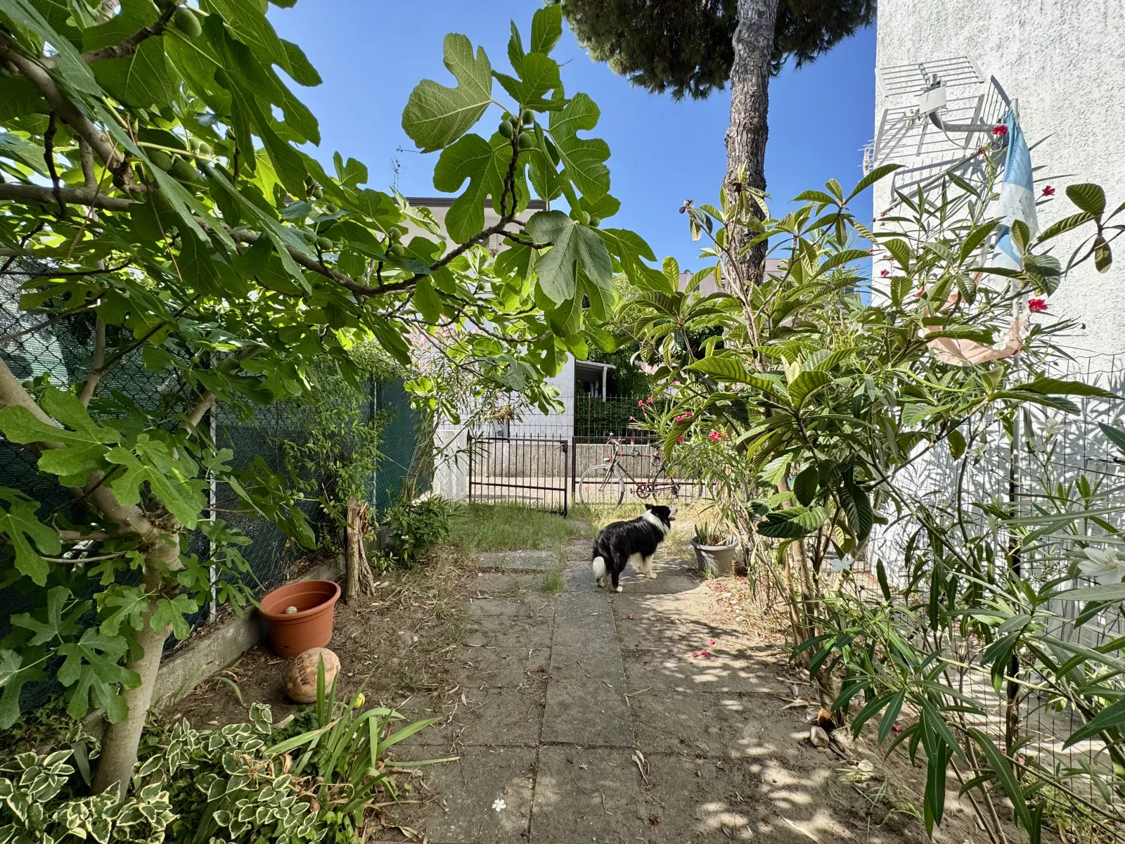 Villetta in vendita a Lido degli Scacchi