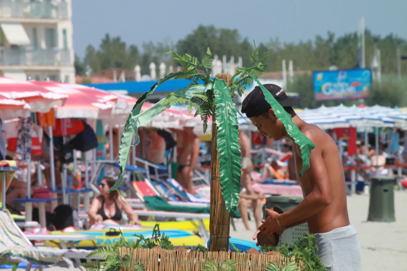 Appartamento Fronte Mare con Spiaggia Privata al Lido di Pomposa