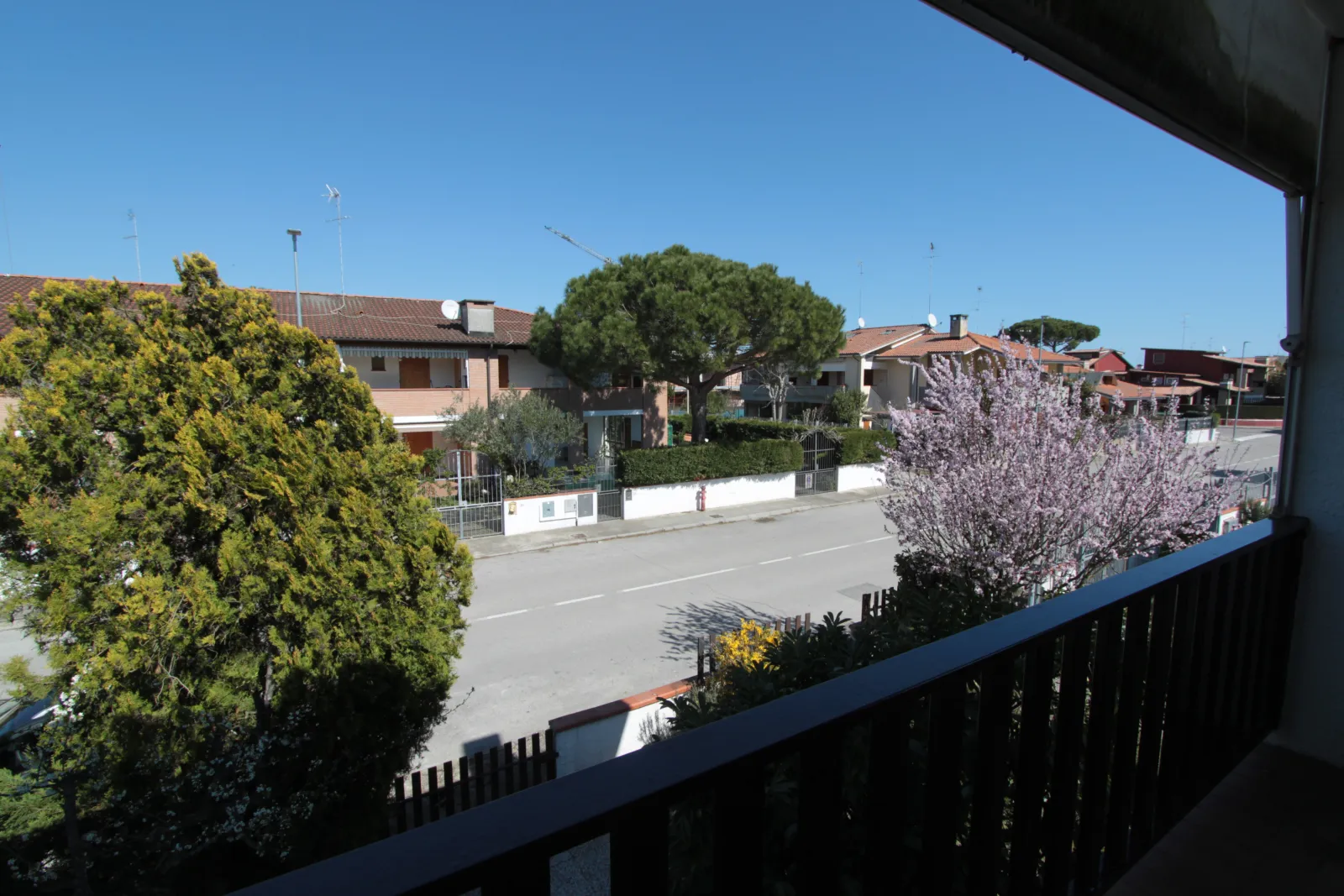 Trilocale in residence con piscina in affitto a Lido degli Scacchi