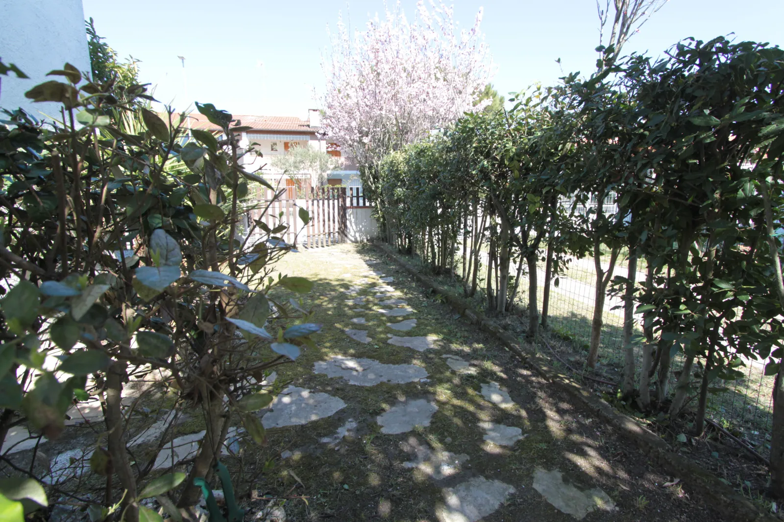 Last minute trilocale in villetta a Lido degli Scacchi